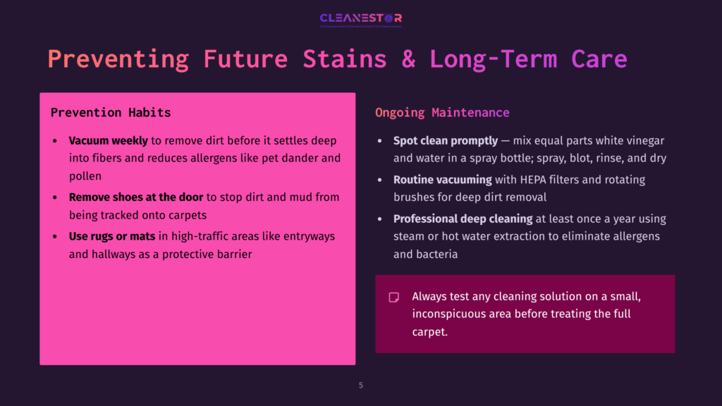 Slide Titled &Quot;Preventing Future Stains &Amp; Long-Term Care&Quot; With Two Columns: &Quot;Prevention Habits&Quot; And &Quot;Ongoing Maintenance,&Quot; Listing Tips For Vacuuming, Shoe Removal, Rugs, Spot Cleaning, Routine Vacuuming, And Professional Deep Cleaning.