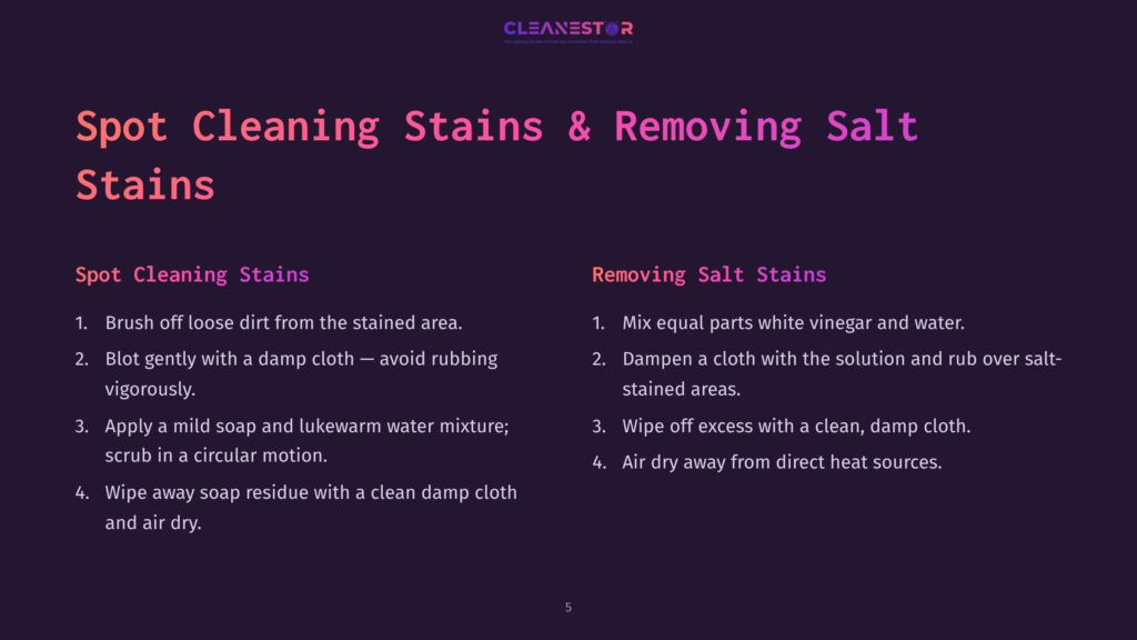 Instructions In Purple And White Text On A Dark Background Detailing Spot Cleaning Stains And Removing Salt Stains, With Numbered Steps.