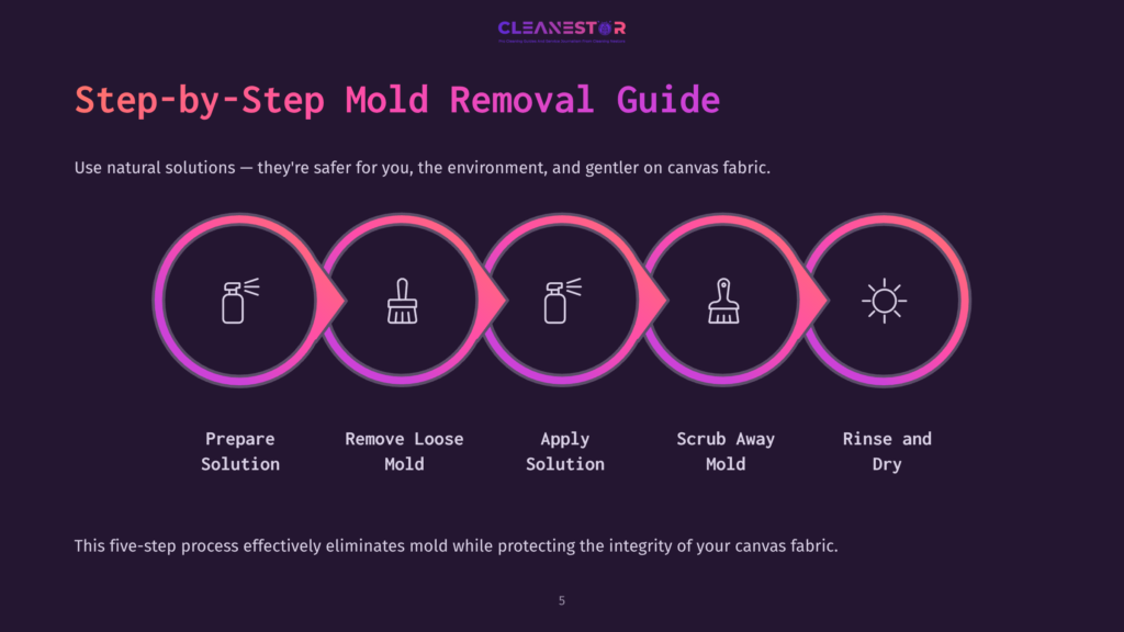5 Step By Step Mold Removal Guide Five-Step Mold Removal Guide With Icons: Prepare Solution, Remove Loose Mold, Apply Solution, Scrub, Rinse And Dry, On A Dark Purple Background.