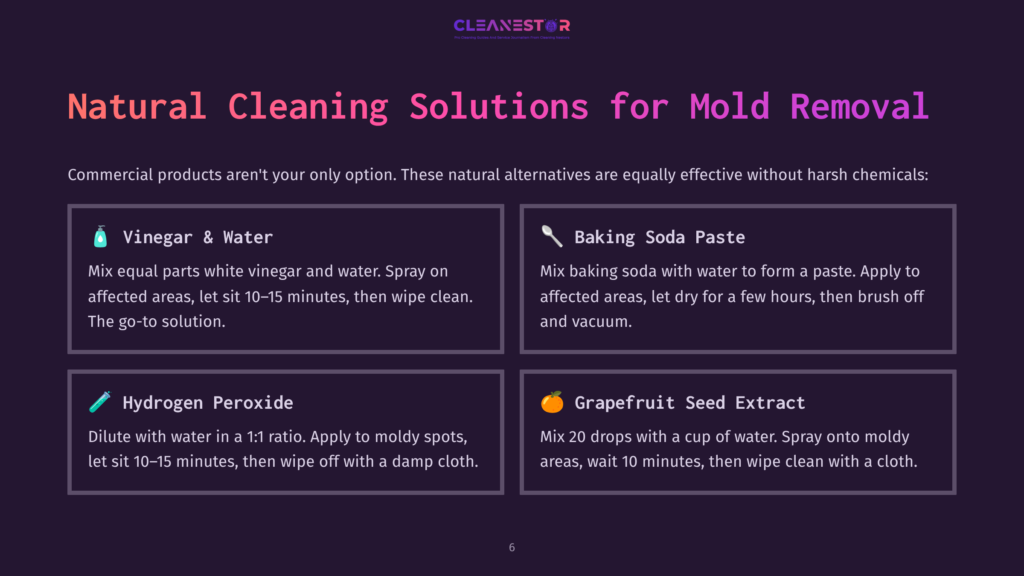 Cleanestor Logo Above A Presentation Slide Titled &Quot;Natural Cleaning Solutions For Mold Removal,&Quot; Detailing Diy Mold Removal With Vinegar, Baking Soda, Hydrogen Peroxide, And Grapefruit Seed Extract.