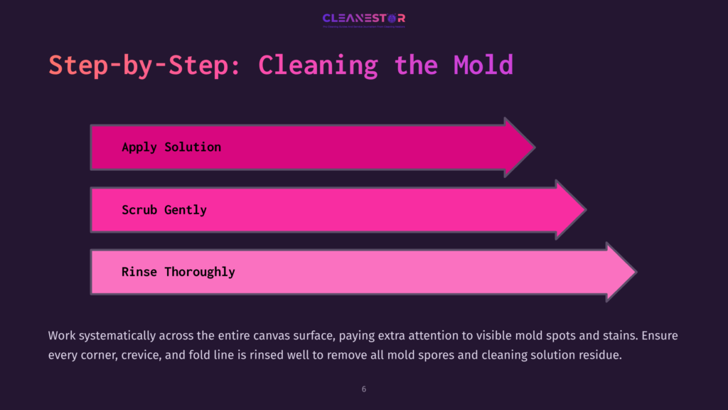 A Graphic Shows A Step-By-Step Guide To Cleaning Mold From A Canvas. Steps Include &Quot;Apply Solution,&Quot; &Quot;Scrub Gently,&Quot; And &Quot;Rinse Thoroughly,&Quot; Depicted By Pink And Purple Arrows.