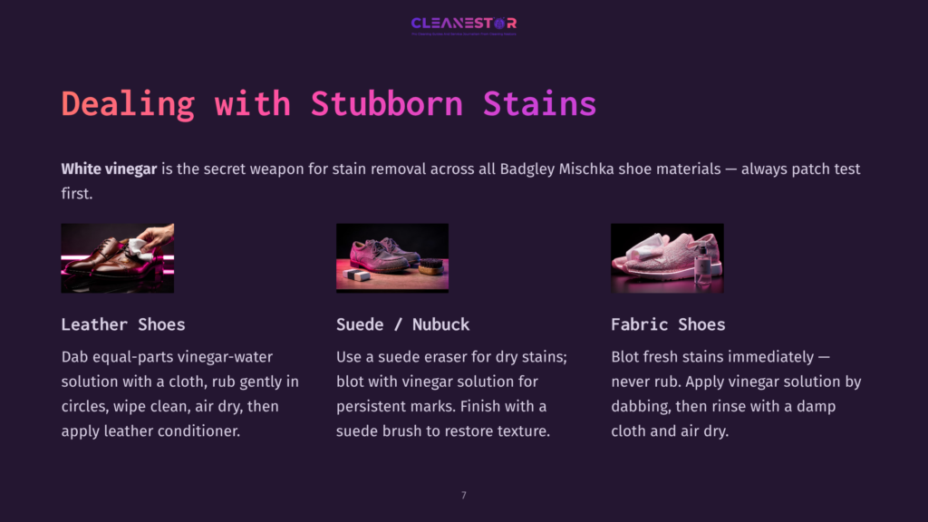 Guidelines For Cleaning Badgley Mischka Shoes, Featuring Pink Shoes, A Dark Purple Background, And Tips For Suede, Nubuck, And Fabric Care.