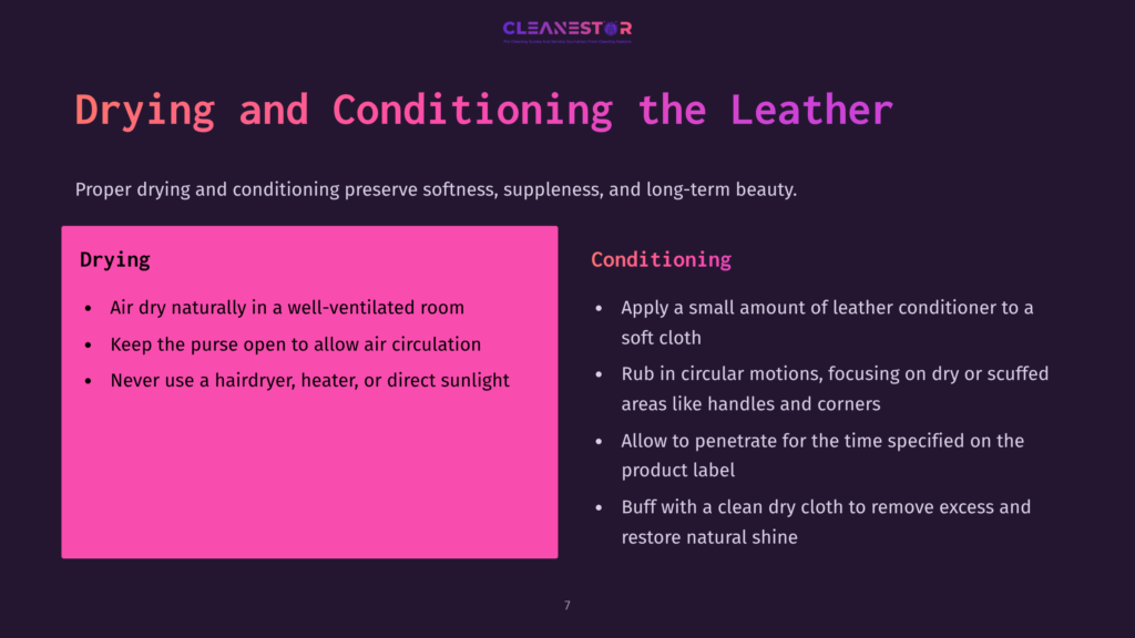 A Slide Titled &Quot;Drying And Conditioning The Leather&Quot; With Two Columns: &Quot;Drying&Quot; And &Quot;Conditioning.&Quot; The &Quot;Drying&Quot; Column Lists Tips Like &Quot;Air Dry Naturally&Quot; And &Quot;Never Use A Hairdryer,&Quot; While &Quot;Conditioning&Quot; Advises Applying Leather Conditioner And Buffing With A Dry Cloth. The Cleanestor Logo Is At The Top.
