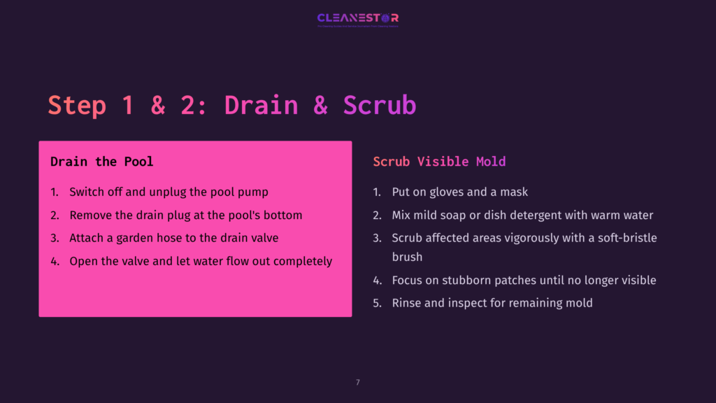 Text Instructions On Cleaning Mold From An Intex Pool, Featuring Purple And Pink Accents, With Steps Clearly Outlined In Sections.