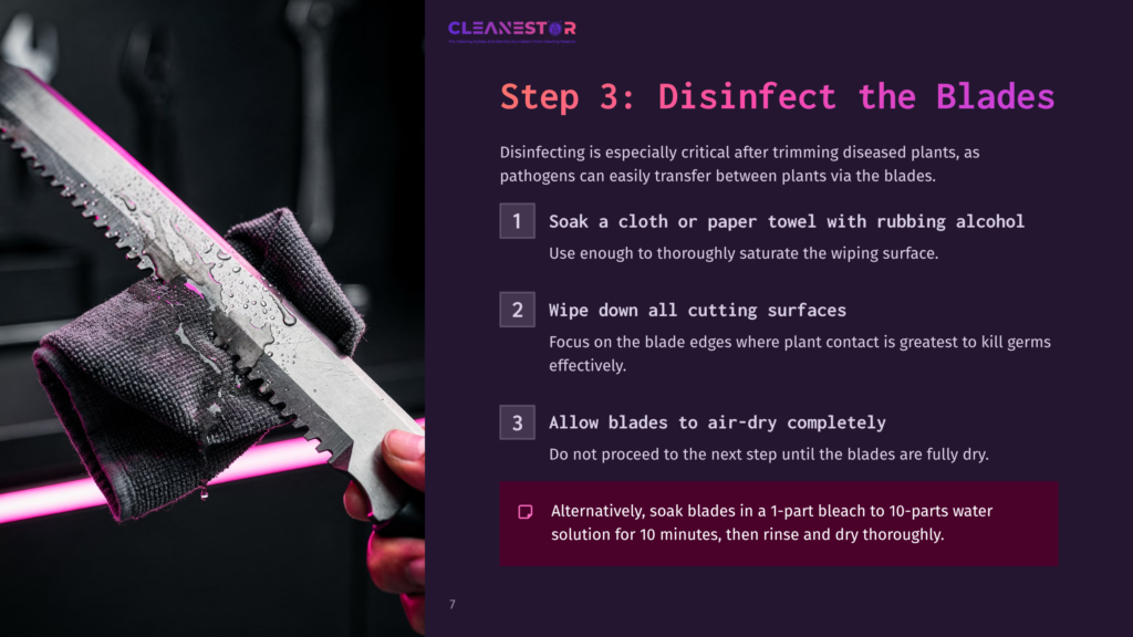 Close-Up Of Clean Hedge Shear Blades With A Dark Cloth, Set Against A Pink And Purple Background, Illustrating Cleaning Steps.