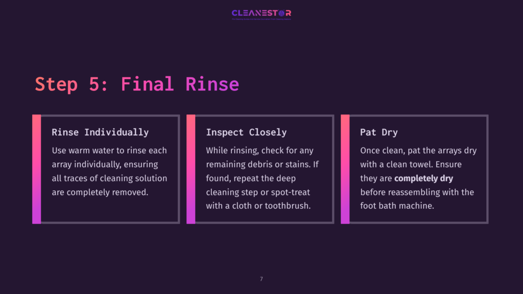 Step 5: Final Rinse, Inspect Closely, And Pat Dry Instructions For Cleaning Arrays. Includes Steps For Rinsing, Inspecting For Debris, And Drying Arrays. The Text &Quot;Cleanestor&Quot; Is Visible At The Top.