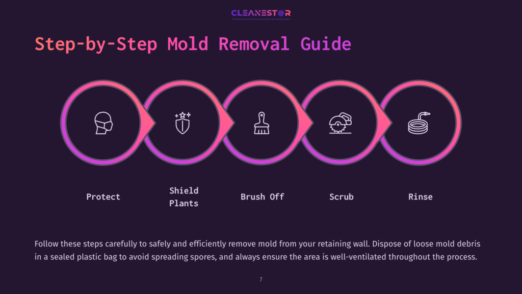 Step-By-Step Guide With Colorful Icons Illustrating Mold Removal: Protect, Shield Plants, Brush Off, Scrub, And Rinse.