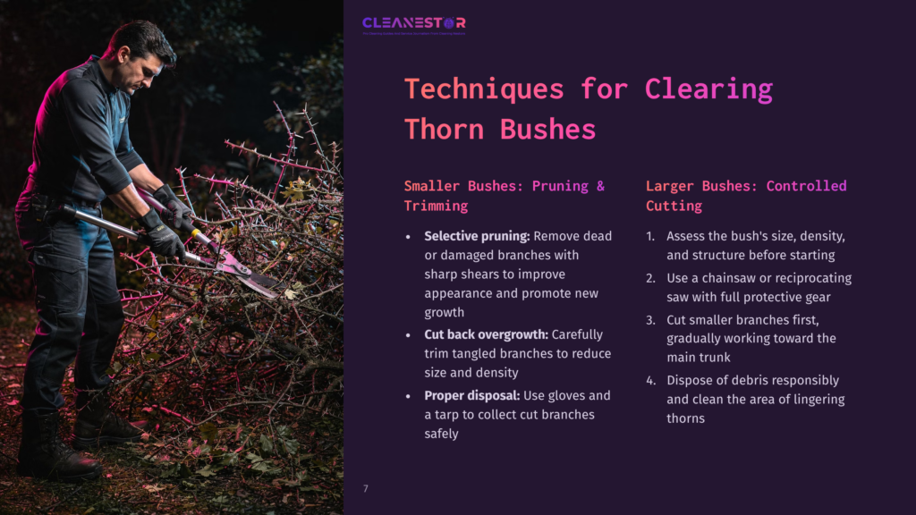 7 Techniques For Clearing Thorn Bushes Man In Work Gloves Uses Pruning Shears To Cut Thorny Bush Branches, With Text &Quot;Techniques For Clearing Thorn Bushes&Quot; Visible.