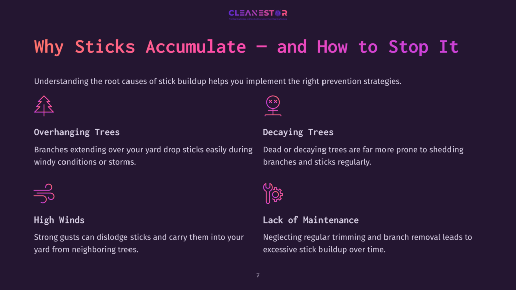 Infographic Titled &Quot;Why Sticks Accumulate - And How To Stop It&Quot; Detailing Causes Like Overhanging Trees, Decaying Trees, High Winds, And Lack Of Maintenance, With Icons Representing Each Cause.