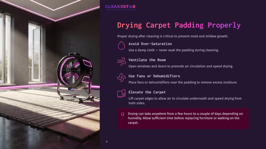 A Room With A Pink Fan Drying Carpet Padding, Sunlight Streaming Through Windows, And Cleaning Tips Listed On The Right In Purple Text.