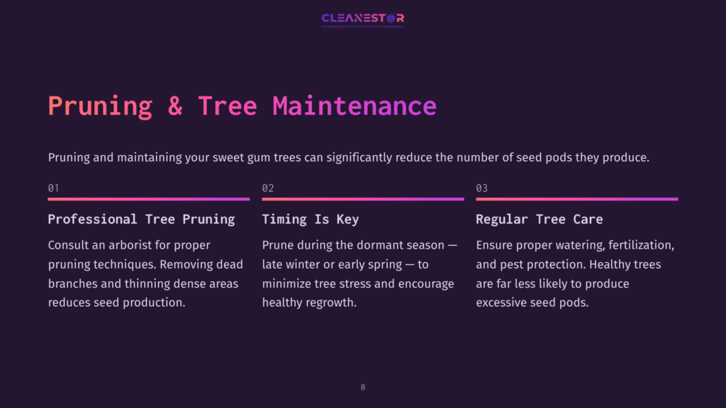 8 Pruning And Tree Maintenance Cleanestor Logo With Text &Quot;Pruning &Amp; Tree Maintenance&Quot; And Three Sections Detailing Tree Pruning: &Quot;Professional Tree Pruning,&Quot; &Quot;Timing Is Key,&Quot; And &Quot;Regular Tree Care.