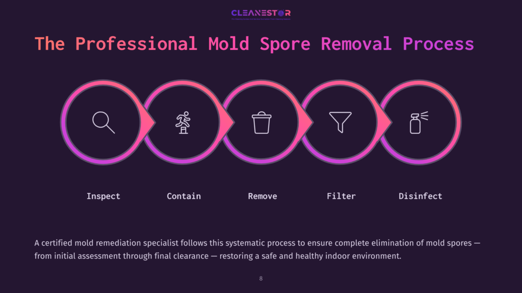 Graphic Illustrating The Mold Spore Removal Process: Five Steps Represented By Circular Icons, Featuring Inspect, Contain, Remove, Filter, And Disinfect With A Dark Background.