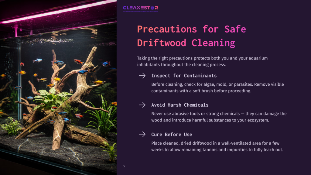 9 Precautions For Safe Driftwood Cleaning A Brightly Lit Aquarium Features Driftwood, Live Plants, And Colorful Fish, With A Clear Focus On Natural Elements And Water Clarity.