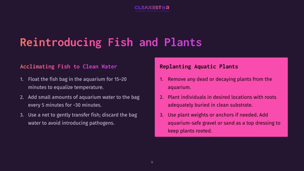 Instructions On Caring For Fish And Plants In An Aquarium, Featuring A Pink Box Detailing Steps For Replanting Aquatic Plants.