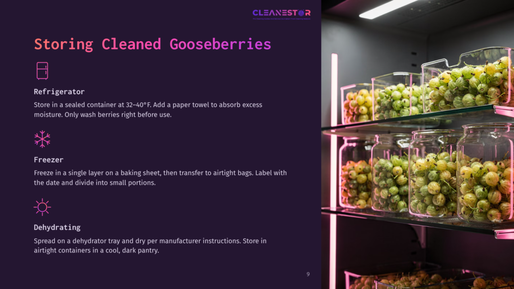A Refrigerator Shelf Displays Jars Filled With Fresh, Green Gooseberries, Ready For Storage. The Text &Quot;Storing Cleaned Gooseberries&Quot; Is Visible On The Left.