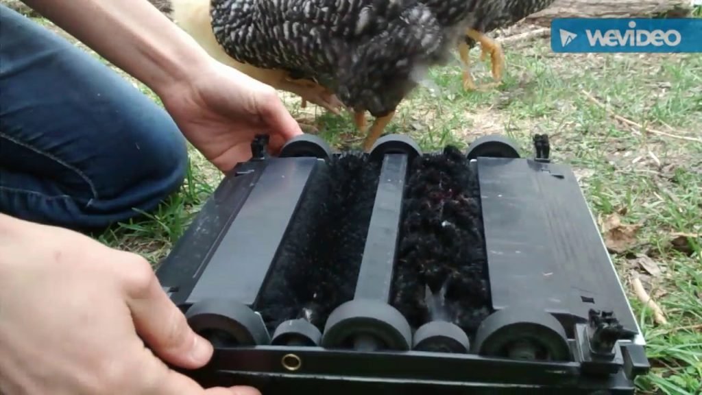 How To Clean Brushes On Bissell Sweep Up How To Clean Brushes On Bissell Sweep Up