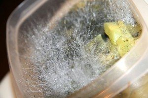 How To Clean Mold From Tupperware