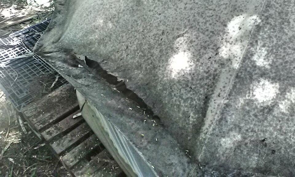 How To Clean Moldy Tent