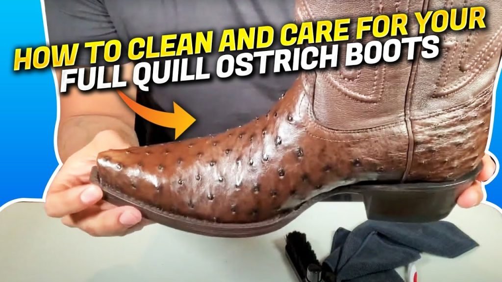How To Clean Ostrich Boots How To Clean Ostrich Boots