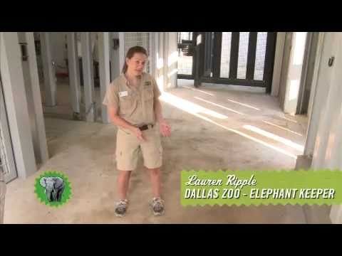 How To Clean Smartstrand Carpet How To Clean Smartstrand Carpet