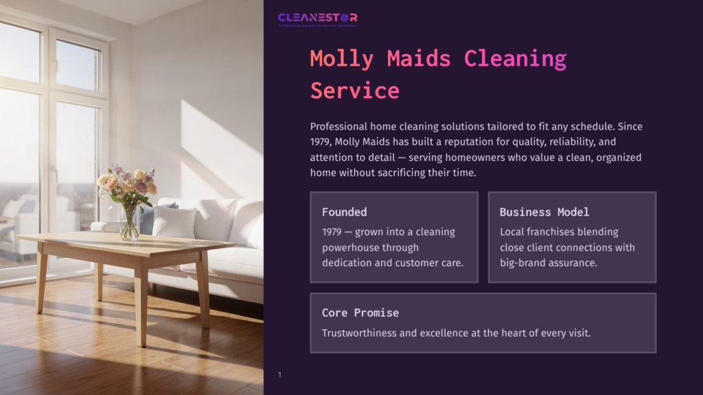 Molly Maids Cleaning Service Logo And Text On A Dark Purple Background. A Bright, Sunlit Living Room With A Large Window, A Couch, And A Wooden Table With A Bouquet Of Flowers Is Visible On The Left.
