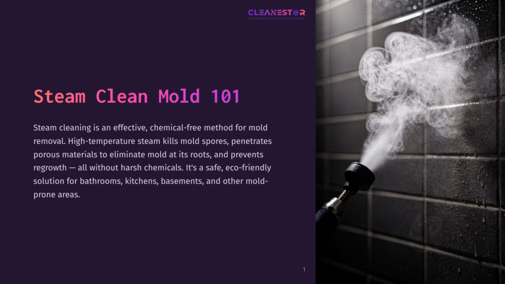 1 Steam Clean Mold 101 Steam Clean Mold 101: High-Temperature Steam Is Sprayed From A Nozzle Onto A Dark Tiled Shower Wall, Effectively Cleaning Mold.