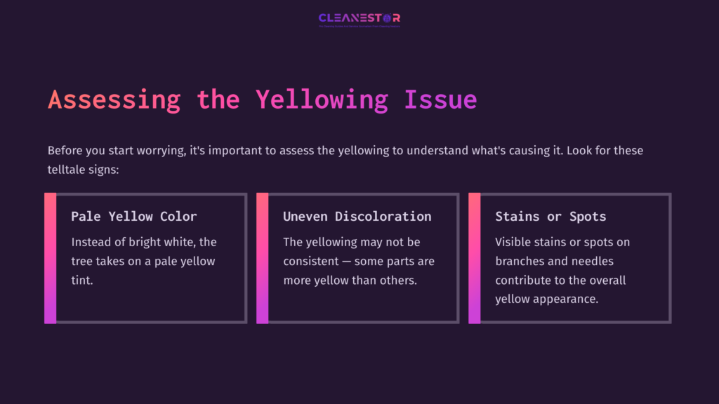 2 Assessing The Yellowing Issue Purple Background With White And Pink Text Explaining Yellowing Issues In Christmas Trees, Featuring Three Colored Boxes With Key Signs: Pale Yellow, Uneven Discoloration, And Stains Or Spots.