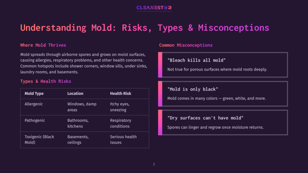 2 Understanding Mold Risks Types And Misconceptions 1 Infographic Titled &Quot;Understanding Mold: Risks, Types &Amp; Misconceptions&Quot; Detailing Mold'S Common Hotspots, Health Risks (Allergic, Pathogenic, Toxigenic), And Debunking Common Myths About Mold.