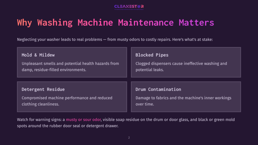 Infographic Titled &Quot;Why Washing Machine Maintenance Matters&Quot; Detailing Issues Like Mold, Mildew, Blocked Pipes, Detergent Residue, And Drum Contamination.