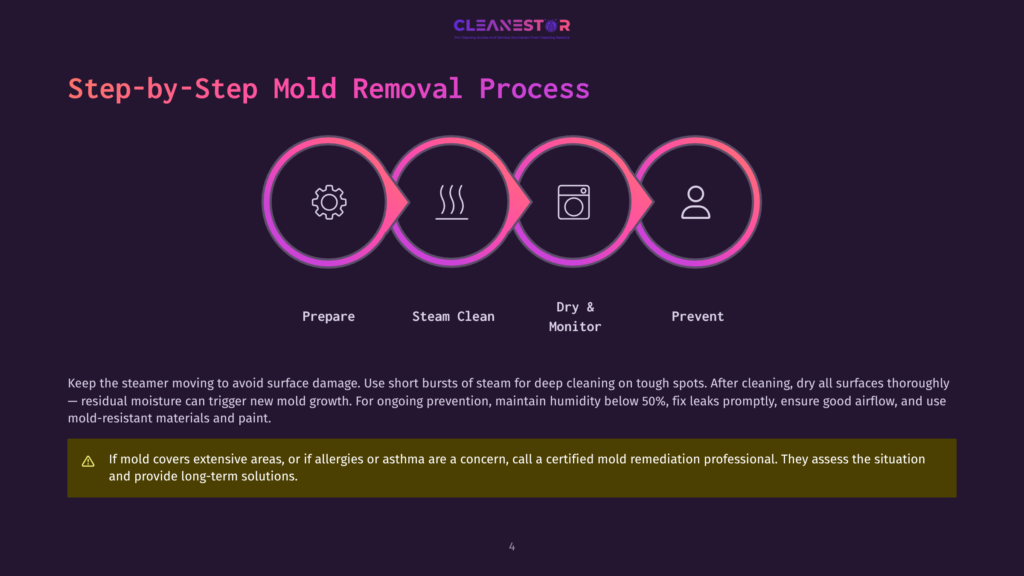 4 Step By Step Mold Removal Process Step-By-Step Mold Removal Process Diagram With Icons For Prepare, Steam Clean, Dry &Amp; Monitor, And Prevent. Text Advises Caution With Mold And Humidity.