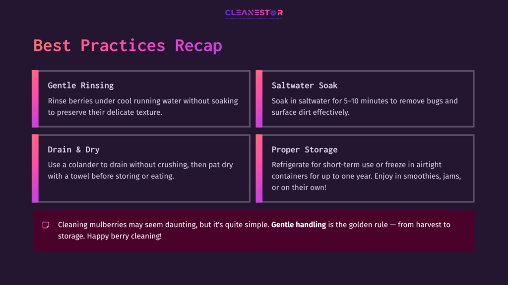 10 Best Practices Recap Graphic Recap On Cleaning Mulberries, Featuring Sections On Rinsing, Soaking, Draining, And Storage With A Purple Background.