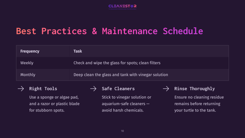Table Outlining Turtle Tank Cleaning Best Practices With Frequency, Tasks, And Safe Cleaning Methods, Presented In Clear Sections.