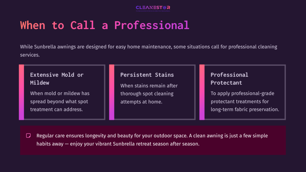 Text-Filled Infographic On Calling A Professional For Sunbrella Awning Care, Featuring Headings In White On A Dark Purple Background.