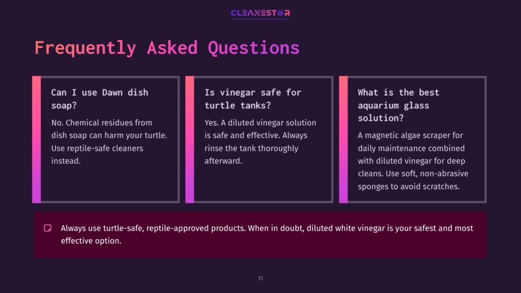 Text In Vibrant Colors On A Dark Background Outlines Commonly Asked Questions About Cleaning Turtle Tanks And Safe Cleaning Solutions.