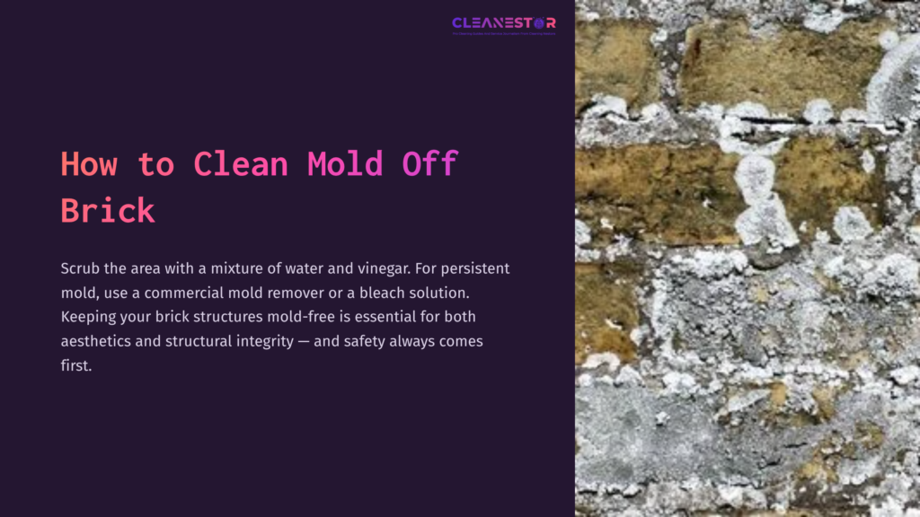 Close-Up Of A Brick Wall Showing White Mold And Discoloration, With A Mix Of Brown And Gray Bricks. Text Instructs On Cleaning Mold.