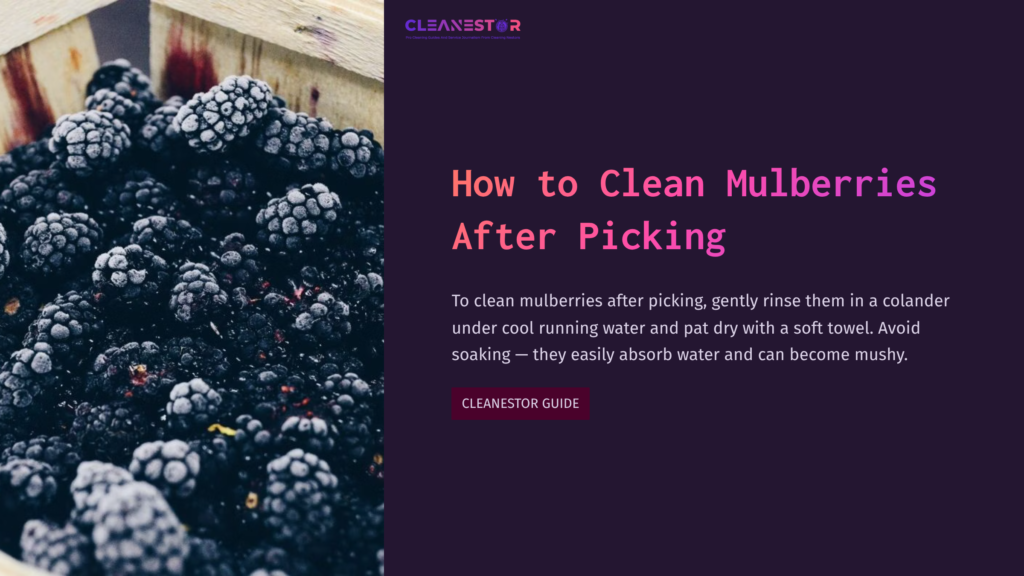 1 How To Clean Mulberries After Picking A Close-Up Of Fresh Black Mulberries In A Wooden Colander, Accompanied By Tips On Cleaning Them After Picking.