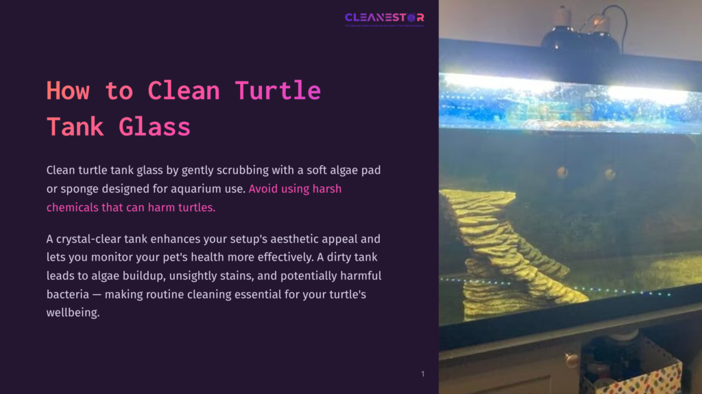 Turtle Tank With Green Algae On The Glass And Submerged Decorations; Water Has Some Floating Debris, Emphasizing Cleaning Need.