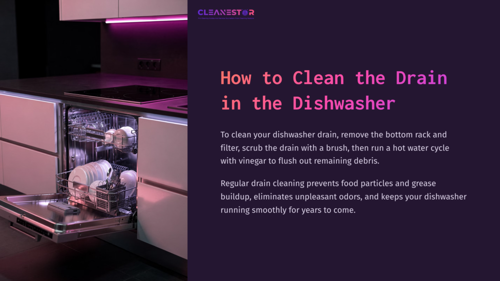 Dishwasher With Open Door Showing Clean Dishes And Drain Area; Modern Kitchen Setup With Purple Lighting And Sleek Cabinets.