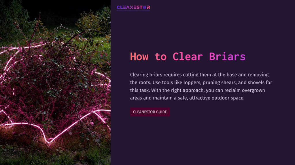 Vibrant Briar Plants With Thorns In A Lush Green Setting, Accompanied By Tools Like Loppers And Pruning Shears, Highlighting The Clearing Process.