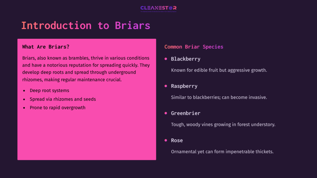 Title &Quot;Introduction To Briars&Quot; With Pink Background, Featuring A List Of Common Briar Species: Blackberry, Raspberry, Greenbrier, And Rose.