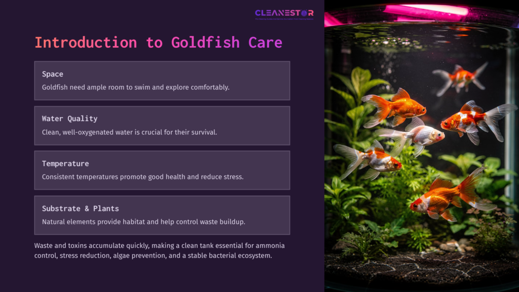 A Vibrant Goldfish Tank With Several Orange And White Goldfish Swimming Among Lush Green Plants, Showcasing A Clean Aquatic Environment.