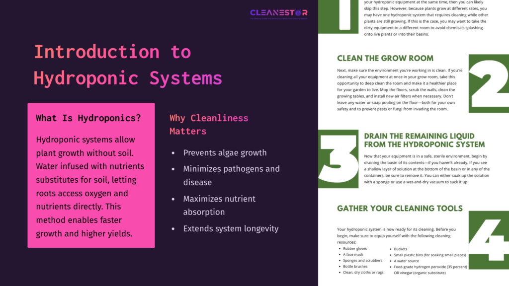 Infographic On Hydroponic Systems, Featuring A Pink And Purple Layout With Sections On Cleanliness Benefits And Cleaning Steps.