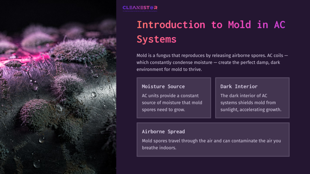 Close-Up Of Dark Green Mold Growing On A Textured Surface, With Moisture Droplets, Alongside Highlighted Text Boxes About Mold In Ac Systems.