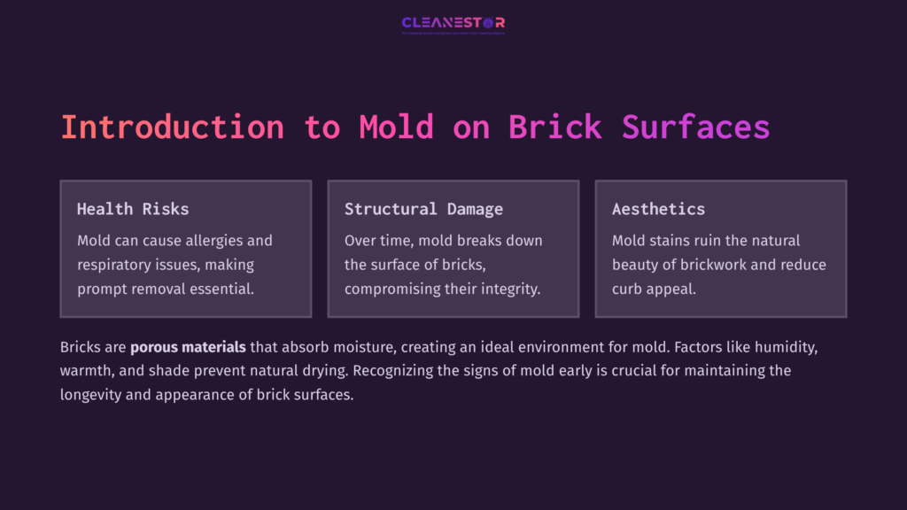 Text On A Dark Background Discusses Mold On Brick Surfaces, Highlighting Health Risks, Structural Damage, And Aesthetic Concerns.