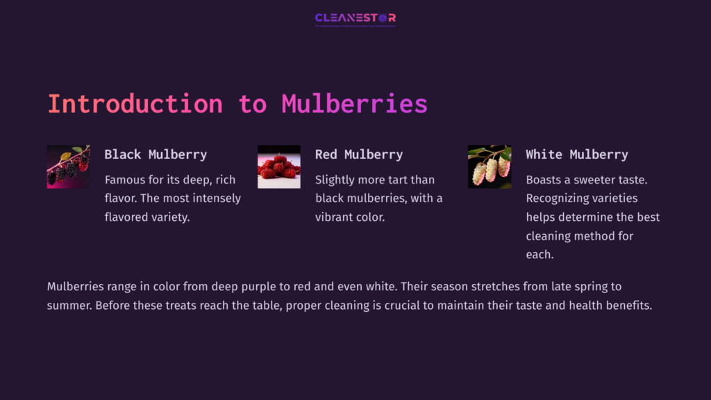 2 Introduction To Mulberries A Purple Background Features Text About Mulberries, Highlighting Black, Red, And White Varieties With Vibrant, Descriptive Colors.
