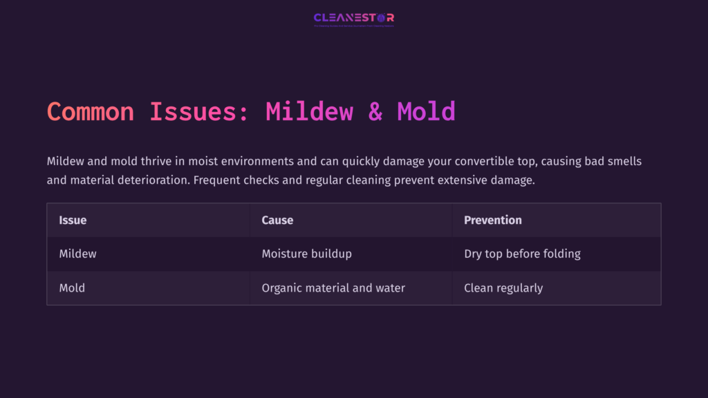 Table Highlighting Issues With Mildew And Mold On Convertible Tops, Detailing Causes And Prevention Tips Against A Dark Purple Background.