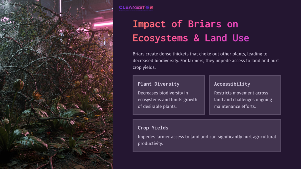 Dense Briars Obstructing The Ground, Surrounded By Vibrant Green Foliage And Soft Purple Lighting, Illustrating Their Impact On Ecosystems.