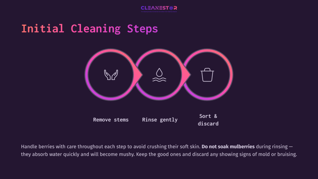 4 Initial Cleaning Steps Three Circular Icons Depict Initial Cleaning Steps For Mulberries: Removing Stems, Rinsing Gently With Water, And Sorting Or Discarding Bad Ones.