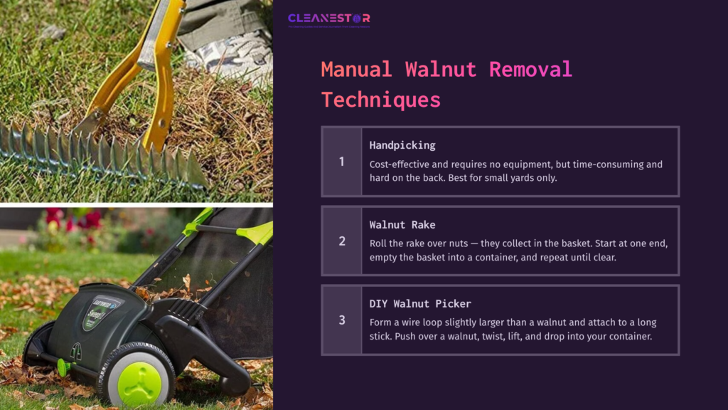 A Yellow Rake And A Diy Walnut Picker On A Purple Background, With Walnuts Scattered On The Ground, Demonstrating Walnut Cleanup Methods.