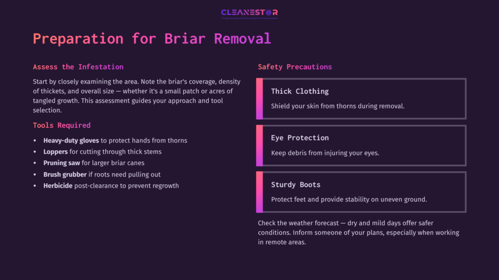 Purple Background With White And Pink Text Outlining Preparation And Safety Precautions For Briar Removal, Including Wearing Thick Clothing, Eye Protection, And Sturdy Boots.